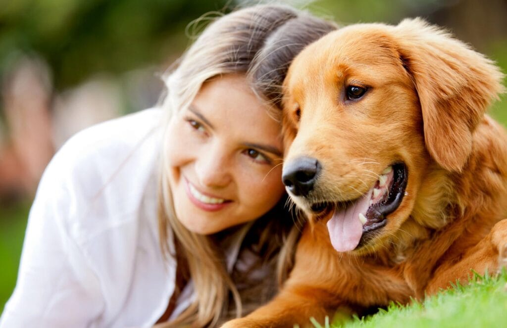 How Therapy Dogs Can Transform Life for Veterans