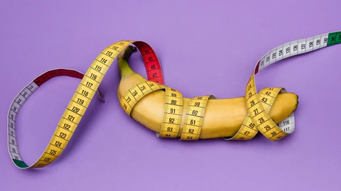 What is a normal penis size?