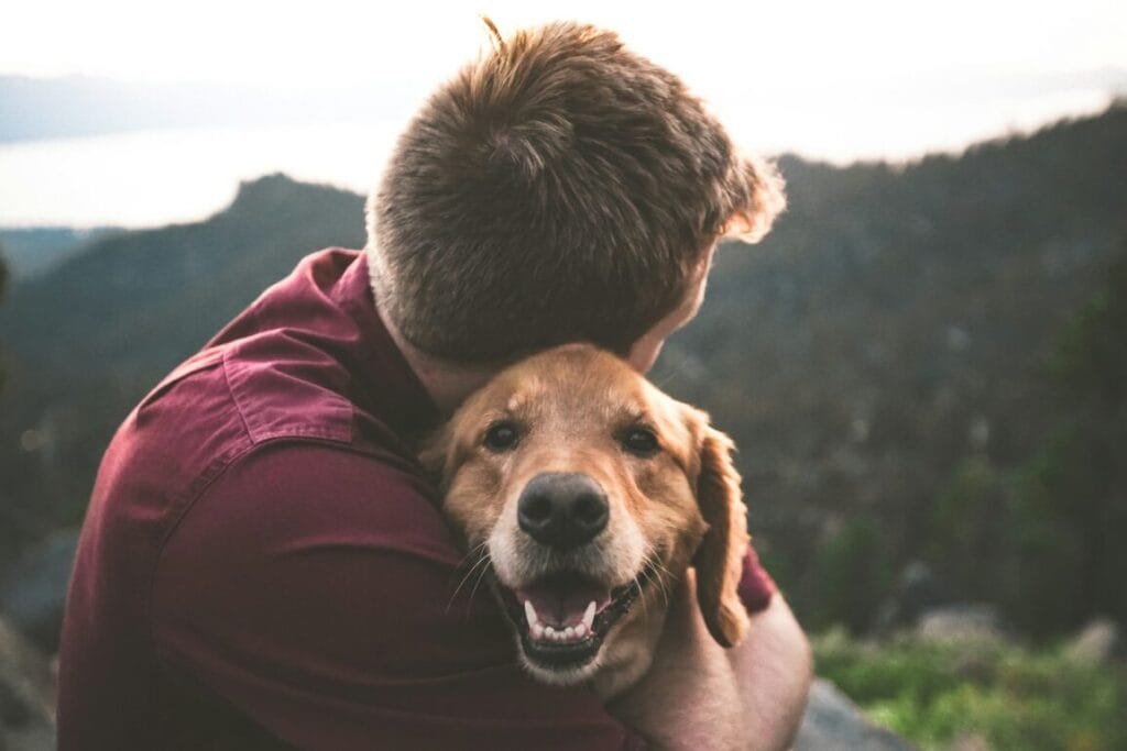 How Therapy Dogs Can Transform Life for Veterans